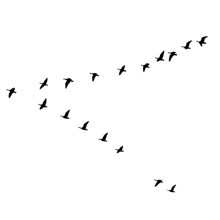 Silhouette-of-birds-flying-in-v-formation